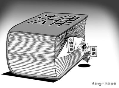 重大立功為何未能保住賴小民一命？