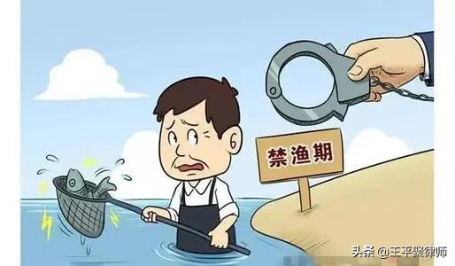 四川農民在自家承包河流里捕魚犯“非法捕撈罪”，此判決合法嗎？ ?
